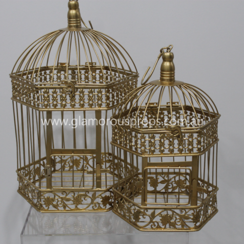 Gold bird cages