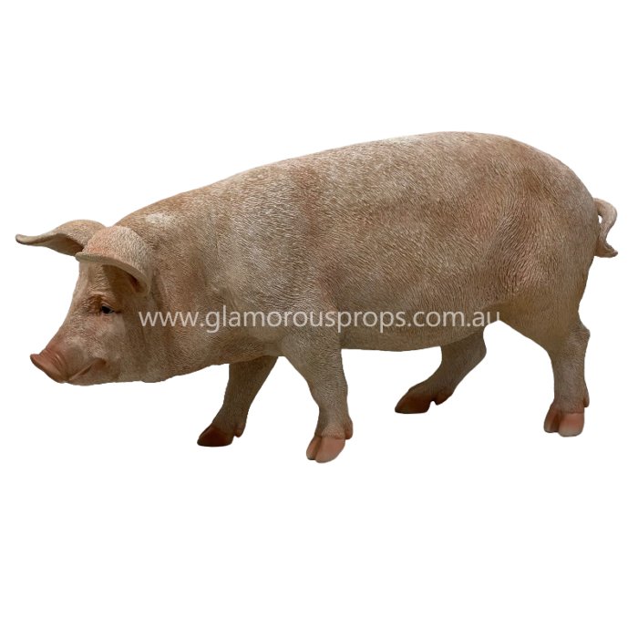 Piglet the pig
